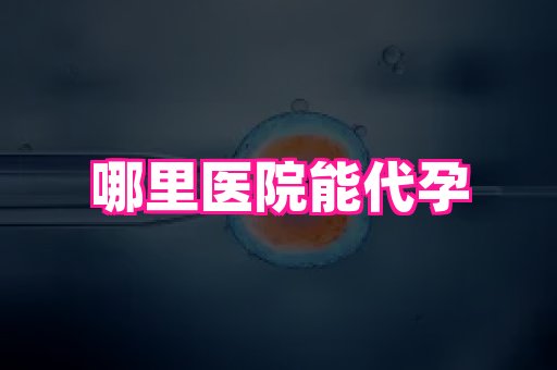 长春助孕网 1