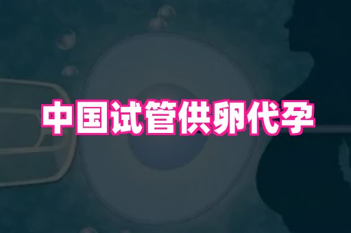 长春助孕网 3